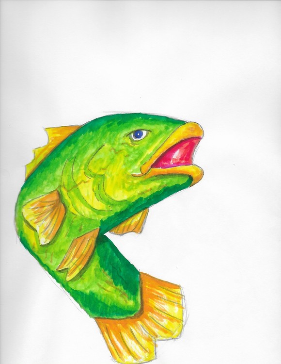 3- Fish
