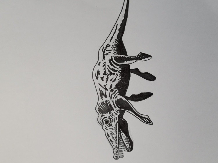 Dinosaur 9