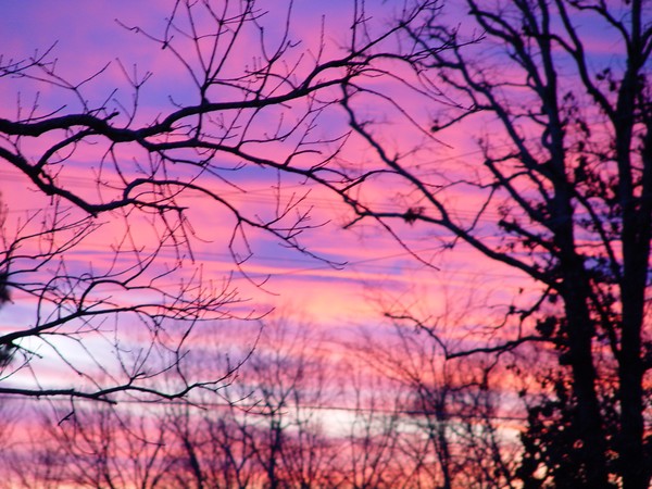 Pink/Blue Sunset