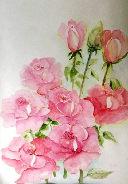 Pink roses
