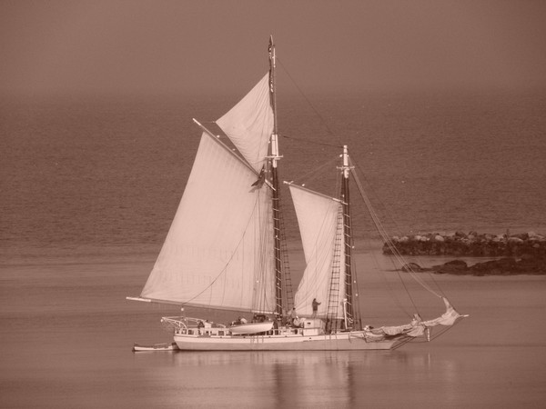 sail into time