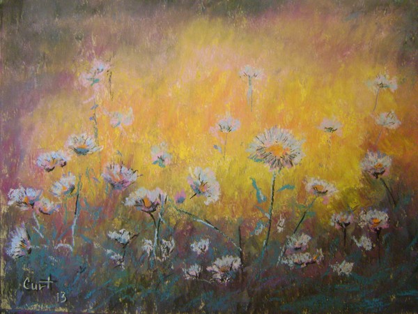 fall asters. sold.
