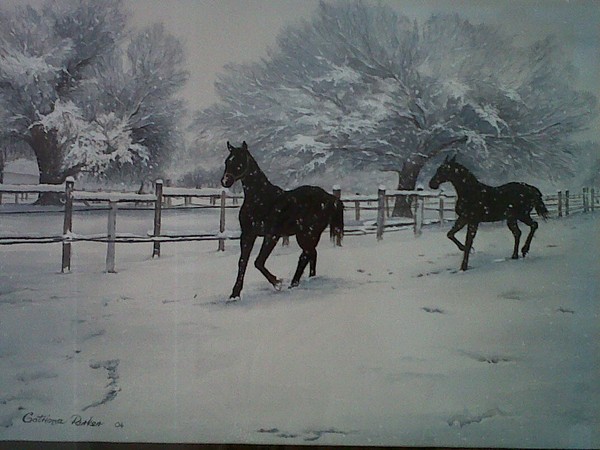 Horses