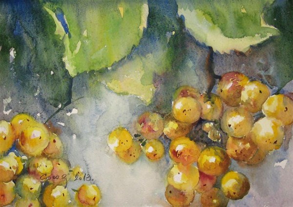 Grozdje 19