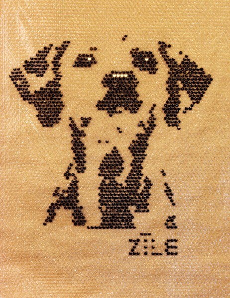 bubble wrap dalmatian