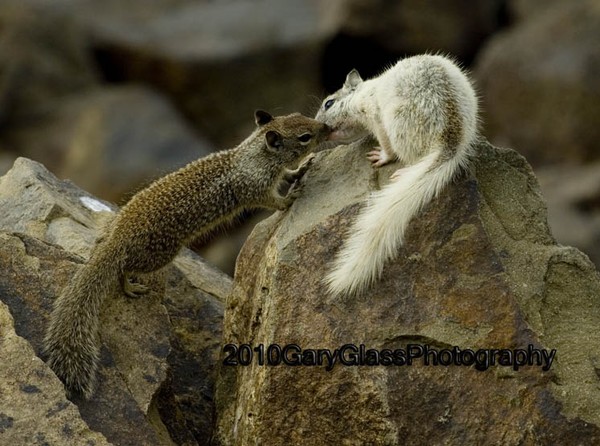 That First Kiss