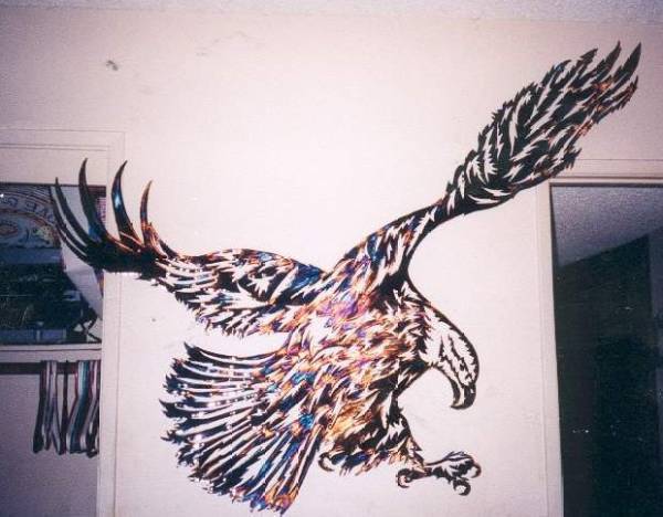 eagle in flight
