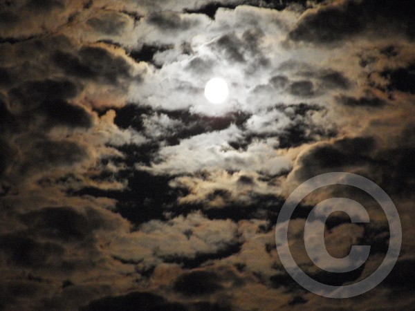 Blue corn moon