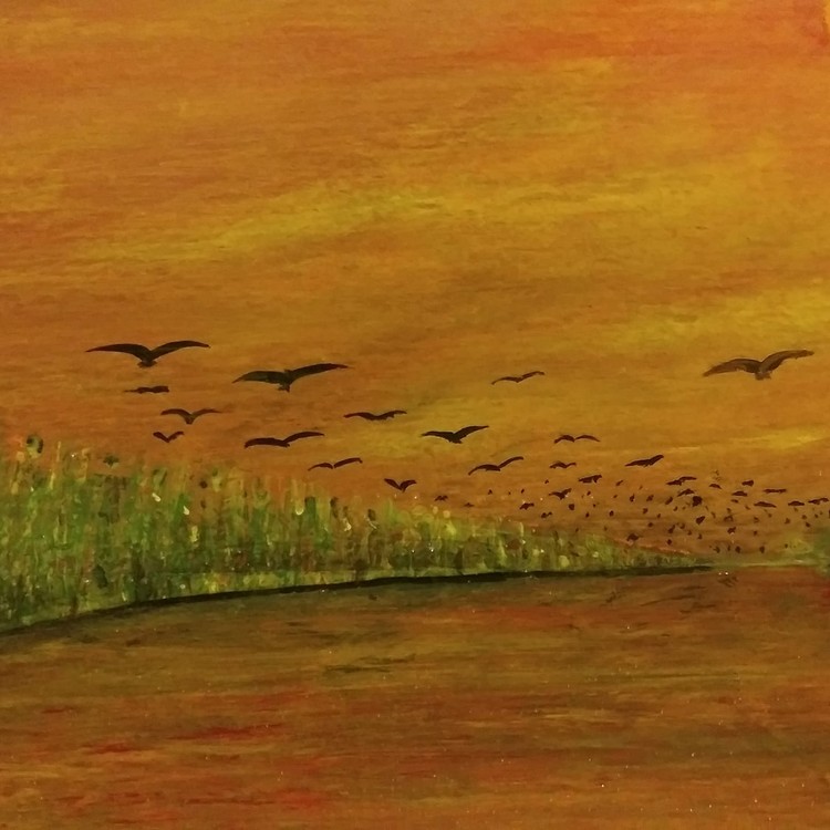 River bank