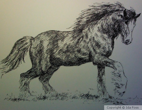 Great Shire Horse