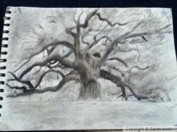 tree