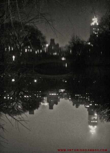 The upside down