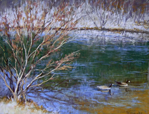 Winter morning at the lake