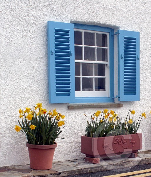 blue window