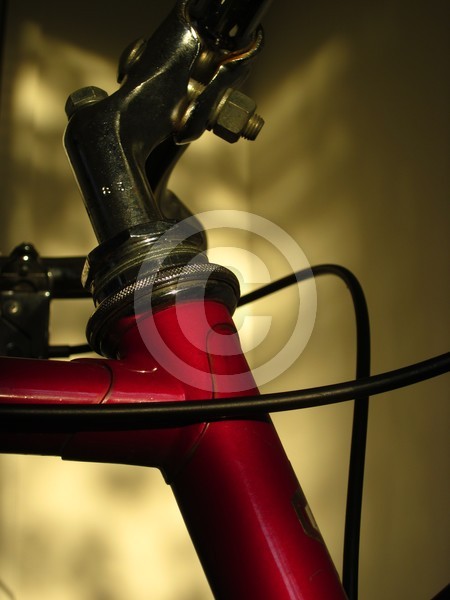 A Study In Scarlet Bicycle