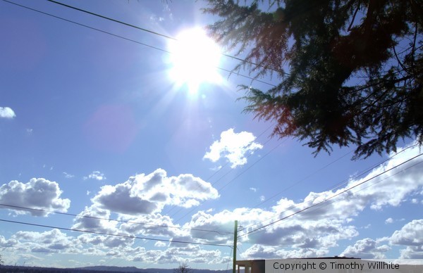 Sunny Life