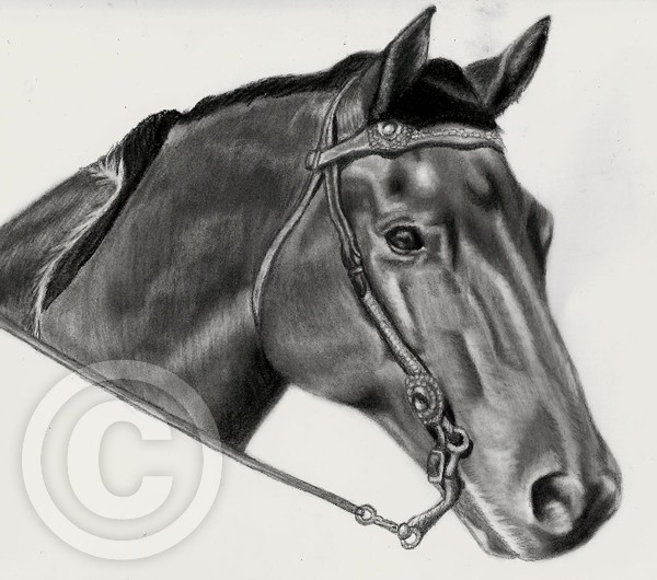 Horse commission