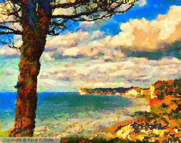 Seacoast