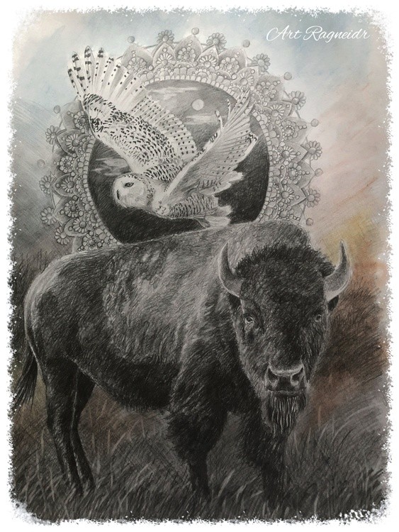 american bison