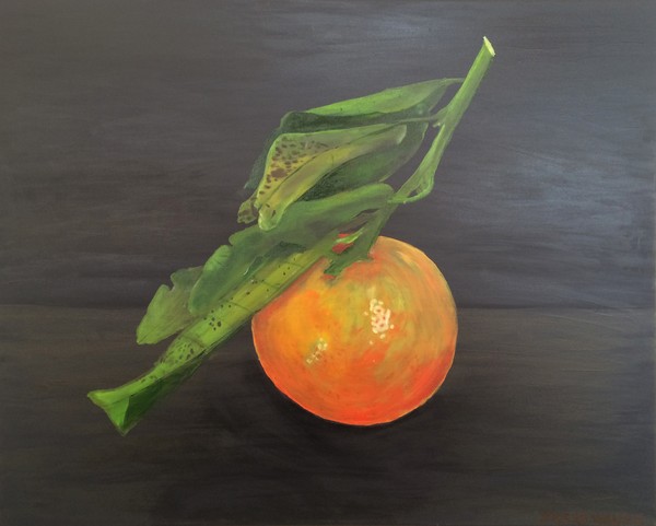 Nadorcott Mandarin