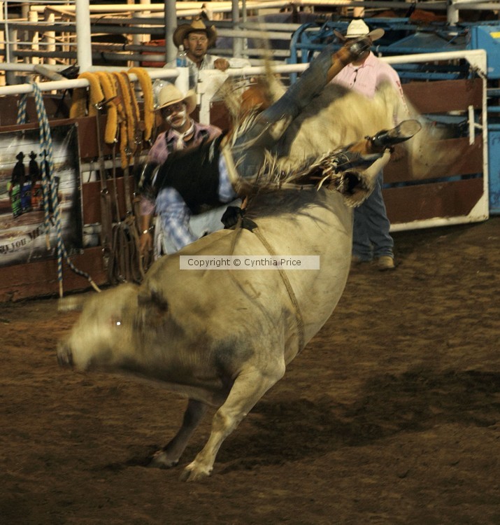 The Bull Won