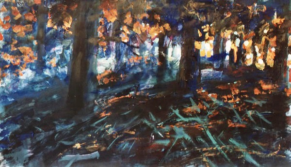 Fire in the Forest