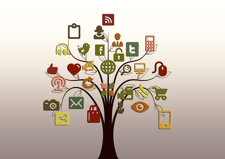 Responsive Website Designing Company in Delhi, Ind