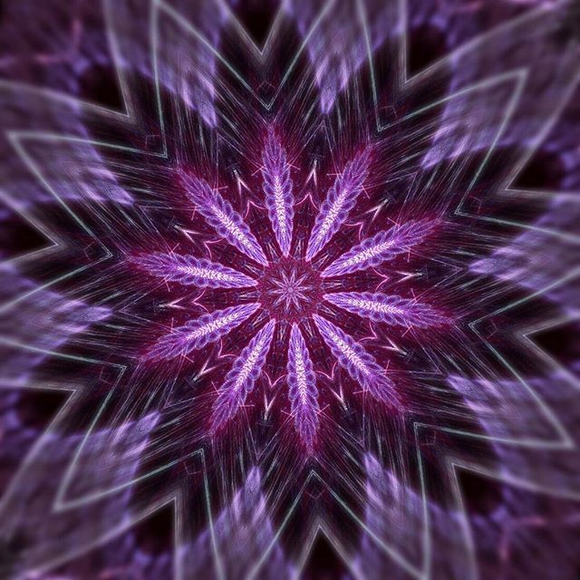 SMRmZEPLQPS9xXw7mTmt