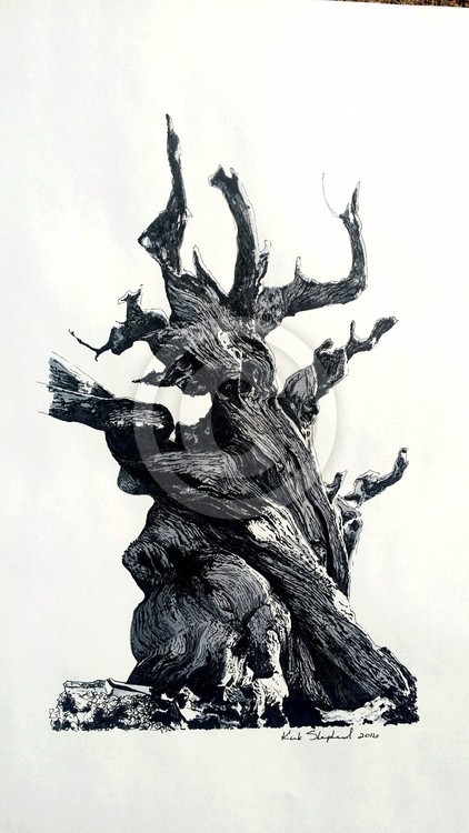Just a tree