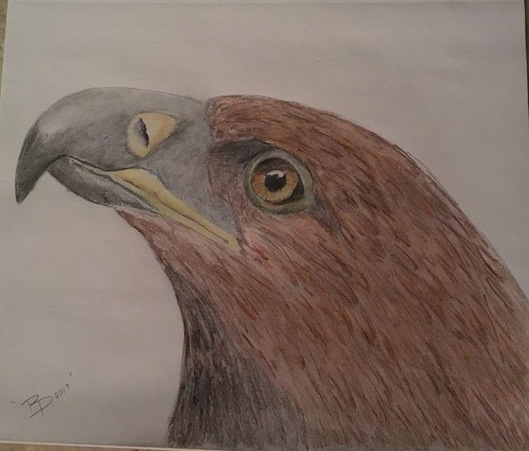 Eagle