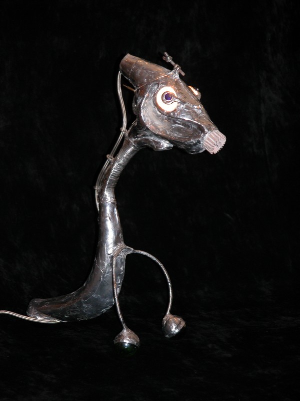 marokko giraffe