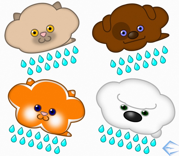 Raining Cats and Dogs