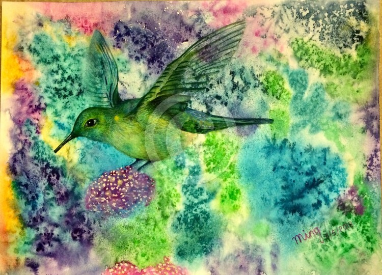 Humming Bird 