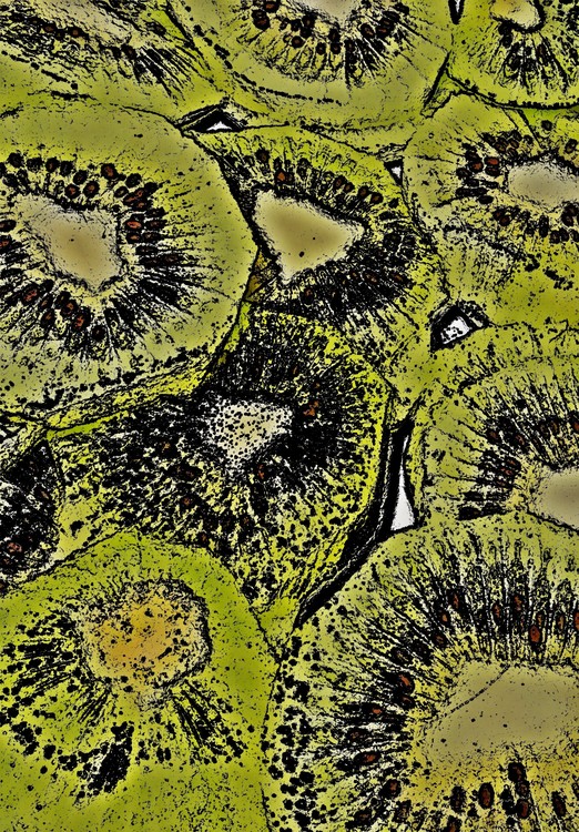 Kiwi slices
