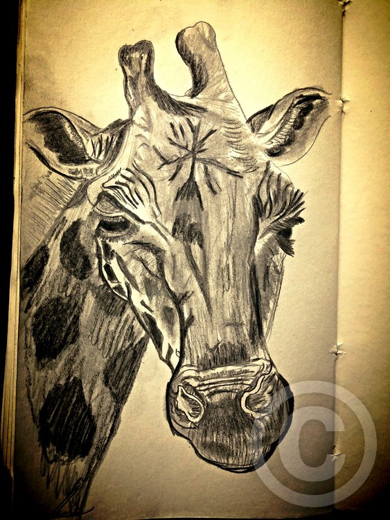 giraffe