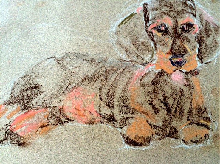Dachshund Drawing