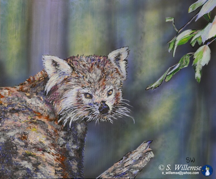 Red Panda Wildlife Art Susan Willemse