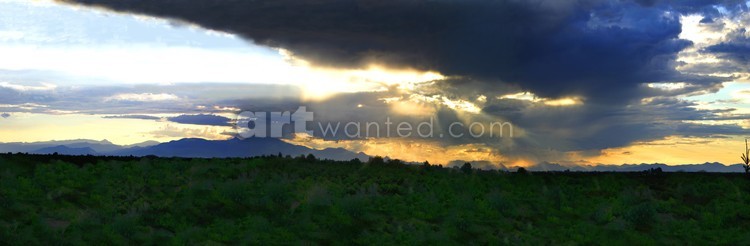 Could rain?