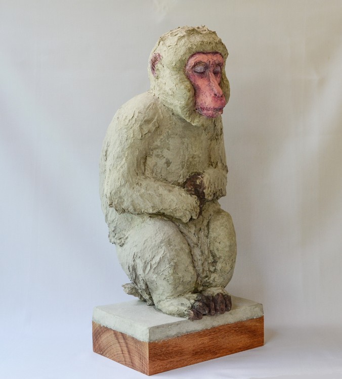 JAPANESE SNOW MONKEY,Recycled Eggbox Paper