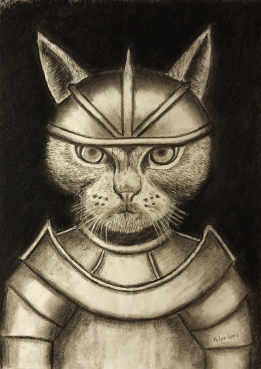 Cat warrior