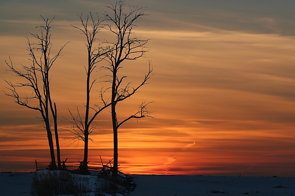 Winter Sunset