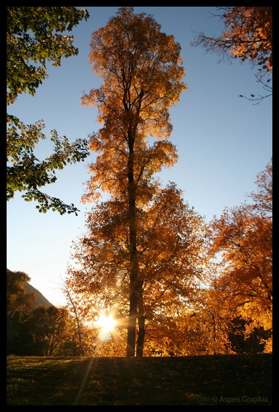 Fiery Giant