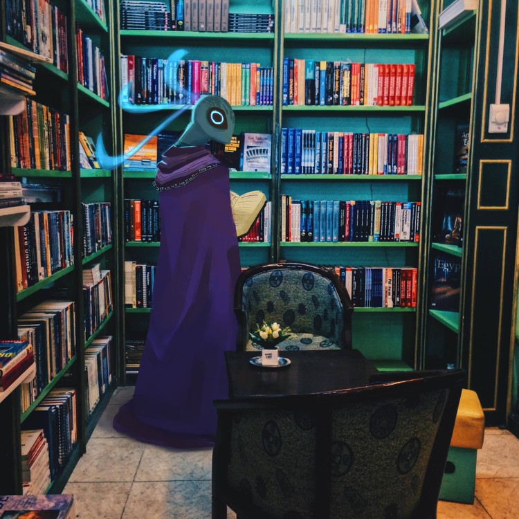 librarian by jeeeth dbm8v1w