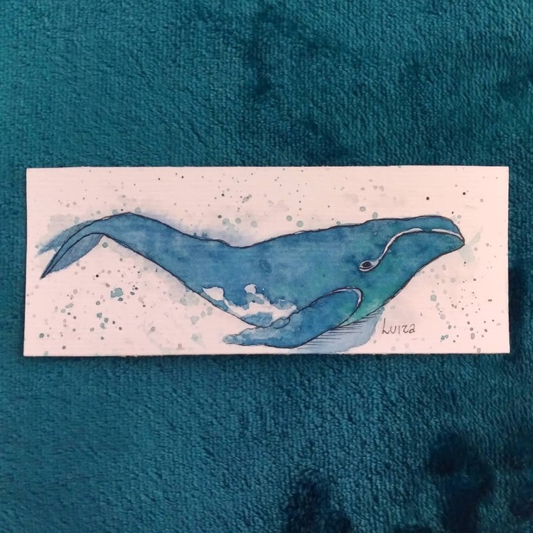 Little Whale
