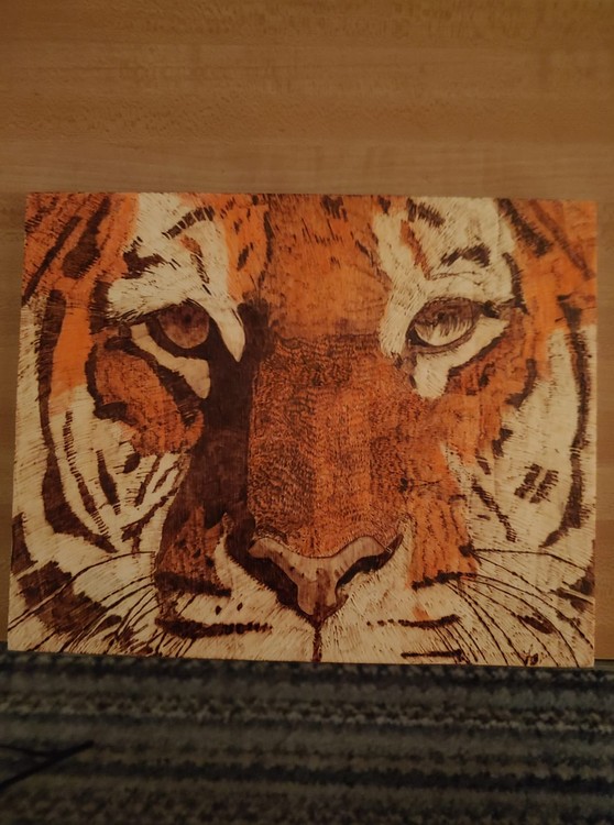 Heahrter's Tiger