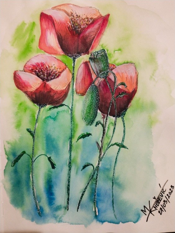 Poppies III
