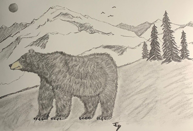 Bear 5 2020 (3)