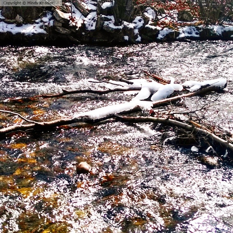 IMG 20200318 091848 097