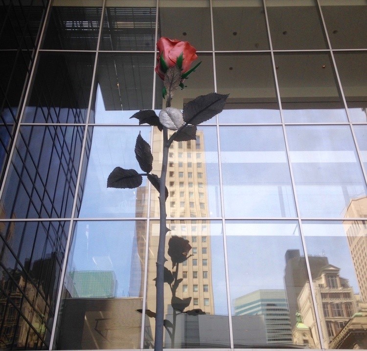 Towering Rose