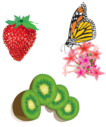 My flowers, butterflies, fruit